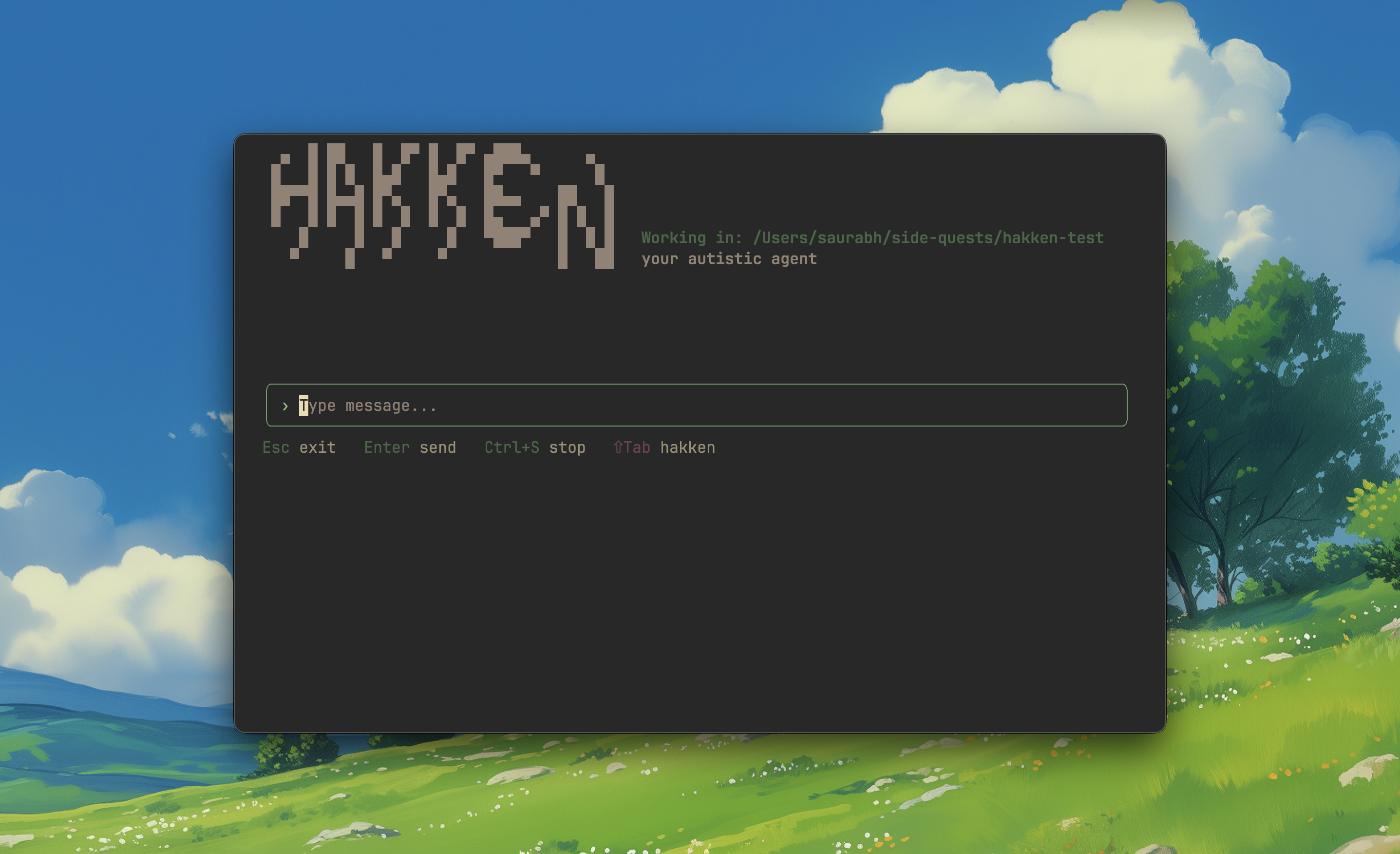 Hakken terminal agent interface 1